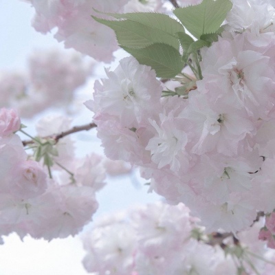 Furry黑白线稿绘画教程FurryQQ群